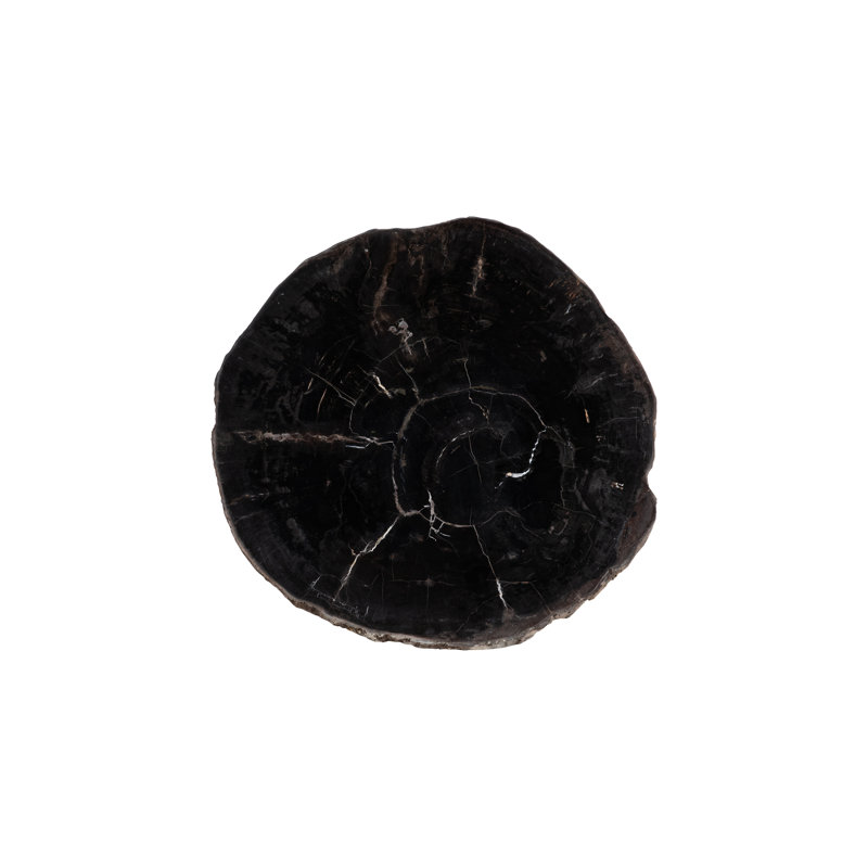 Petrified Coffee Table, Round, Metal Black Base