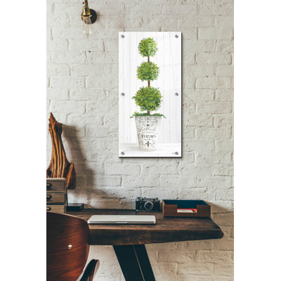 'Magnificent Topiary I' by Cindy Jacobs, Acrylic Glass Wall Art