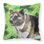 Coussin intérieur/extérieur st patrick