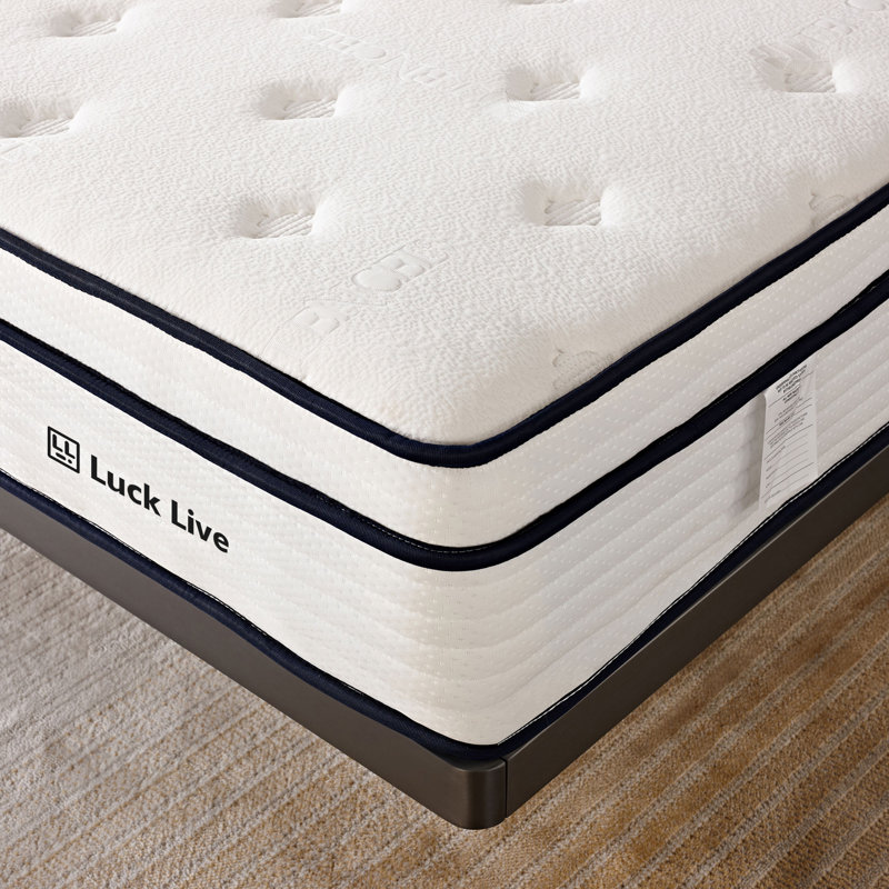 Symonds 10 in. Mattress, Queen