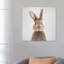 «Rabbit» - reproduction de photo-52366842-52366849