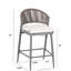 Ensemble de 2 tabourets de comptoir avec cadre en métal et rotin PE, ensemble de 2, gris mat-1933573409