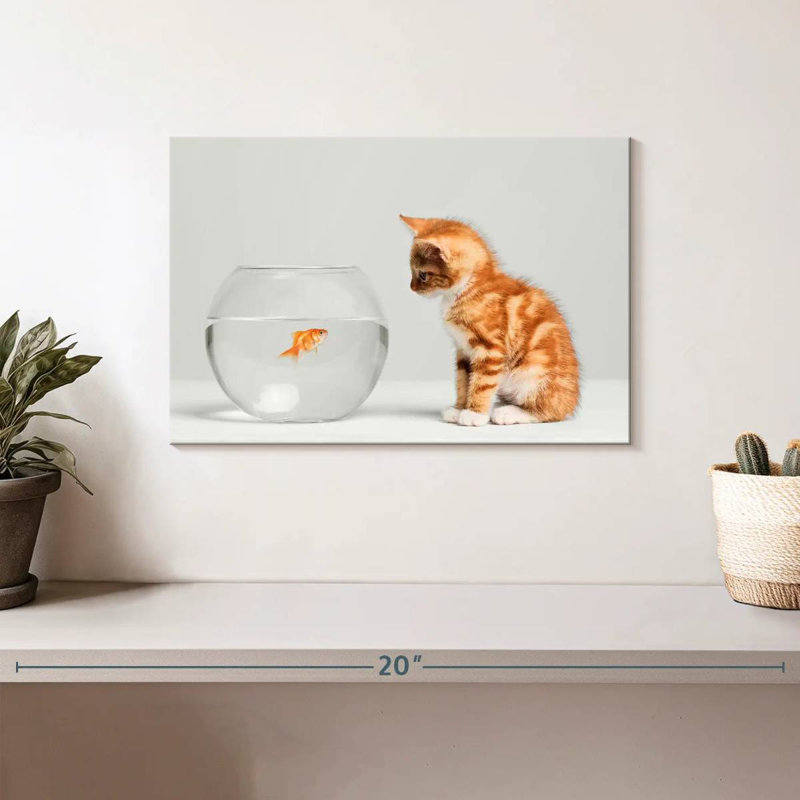 Pet Fish And Kitten, 8" H x 12" W