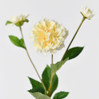 Audet Peony Stems