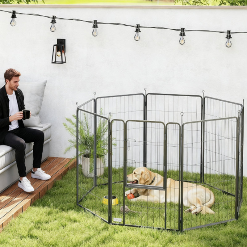 Exercise Pen (Black)
