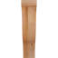 Attelle de genou Funston-1803676117-1812888343-1812888345