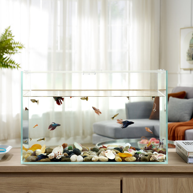 Sam's Pets Cove Fish Tank, 18 Gallon (14.96"H x 11.81"W x 23.23"D), Clear