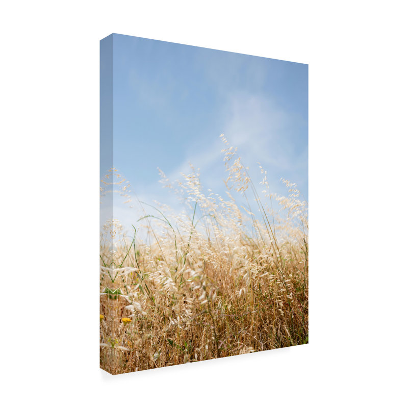 Art sur toile «Raisa Zwart», H 19 po x l 14 po
