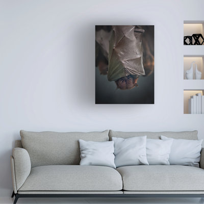 Bolog Fahmi Bhs Nocturnal Canvas Art