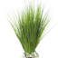 Robblee Faux Grass Plant in Decorative Vase