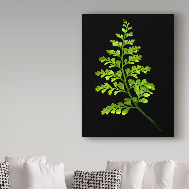 Dosta «Fern 4», impression sur toile tendue, H 19 po x l 14 po x P 2 po