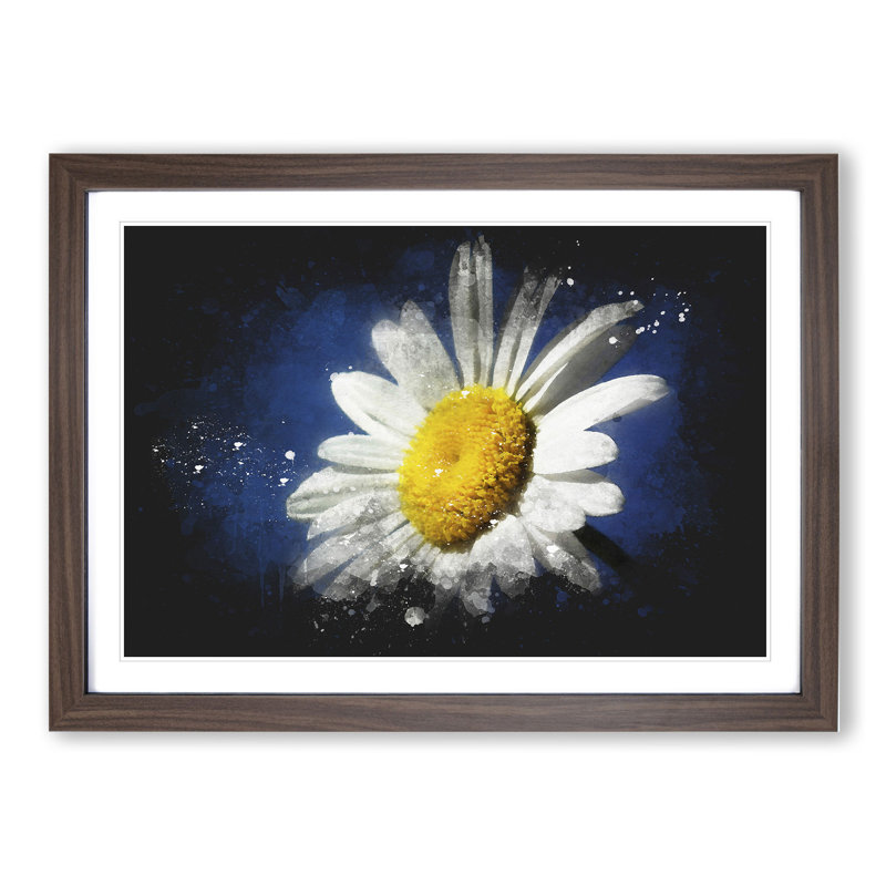 White Daisy Vol.5 - Picture Frame Graphic Art, Walnut Framed, 36cm H x 48cm W x 2cm D