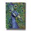 «Peacock Profile Mute» par Yvette St. Amant, art mural sur toile-72099611