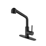 Pull Down Single Handle Kitchen Faucet with Accessories