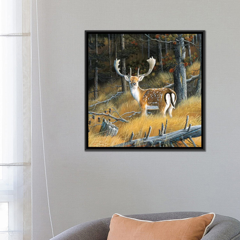 «Beautiful Deer», impression sur toile, H 18 po x l 18 po x P 1,5 po, Toile avec cadre noir, Pas de tapis