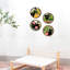 Animals Wall Decor