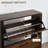 12-Pair 2-Drawer Particle Board Shoe Cabinet 