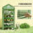Small Portable Greenhouse,Mini Greenhouse-128848371