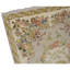 Hand Knotted Area Rug in Coral And Ivory