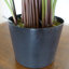 Artificial Foliage Plant in Pot Liner-124076063