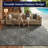 Arjen Floral Flatweave Ash Gray Indoor Outdoor Area Rug-2063681591