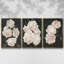 «Nighttime Flora I», ensemble de 3 toiles encadrées-97710540-97710541