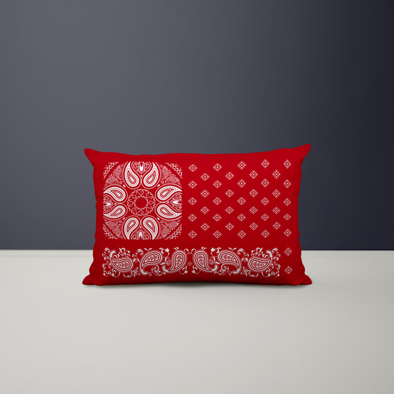 Polyester / Mélange de polyester Housse de coussin rectangulaire intérieure / extérieure lombaire et insert, Rouge