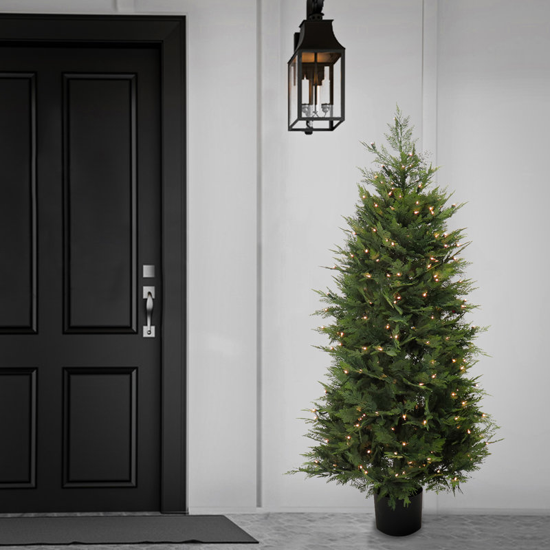 The Holiday Aisle® 5 ft. Pre-Lit Cypress Tree in Nursery Pot