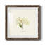 Cornales Hydrangea I-Premium, reproduction encadrée - prête à être accrochée-572604967-572604965-572652540