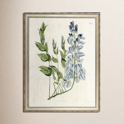 Large Blue Botanical II Print