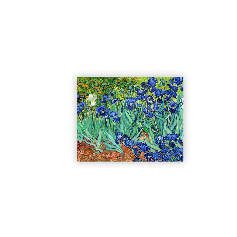 Iris dans le jardin vert, estampe numérique sur toile, 16 L x 20 l