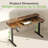 Kreutzer Height Adjustable Standing Gaming Desk-1670134403-1670371016