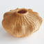 Evren Vase Tall-470547562