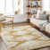 Shag Area Rug