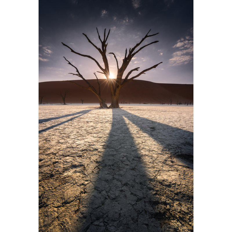 Wrapped Canvas Print, 76.2 cm H x 50.8 cm W