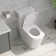 Logmey 1.28 Gallons GPF Elongated Chair Height Floor Mounted One Piece Toilets (Seat Included)