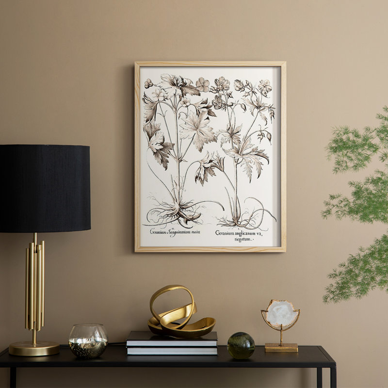 Sépia Besler Botanicals V, reproduction encadrée - bois massif, H 30 po x l 24 po