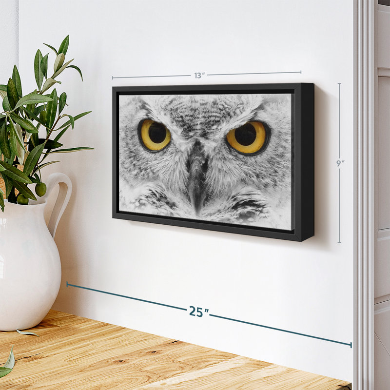 Animal «Gazing Bold Owl», reproduction sur toile, H 9 po x l 13 po