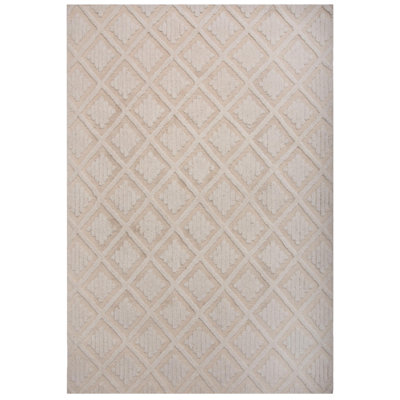 100% Wool Hand Tufted Area Rug