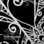 Rideau de douche noir Doodle Feather-1891414028