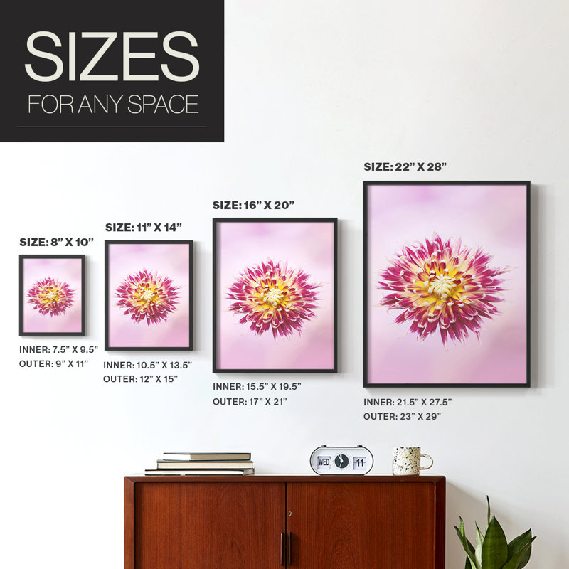 Exotic Flower Burst I, reproduction encadrée - bois massif, H 10 po x l 8 po, Noir