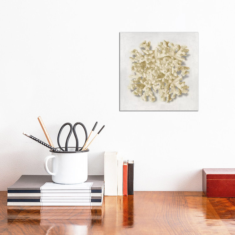 Coral Cream II by Caroline Kelly - Wrapped Canvas Print, 30.48cm H x 30.48cm W x 1.905cm D