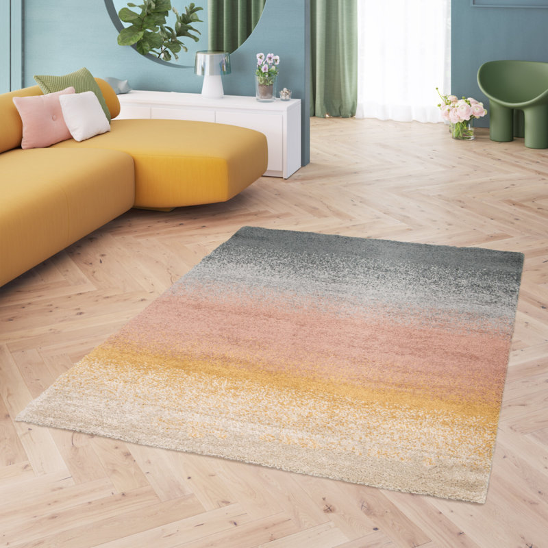 Anyelina Ombre Shag Area Rug, Rectangle 120 x 170cm