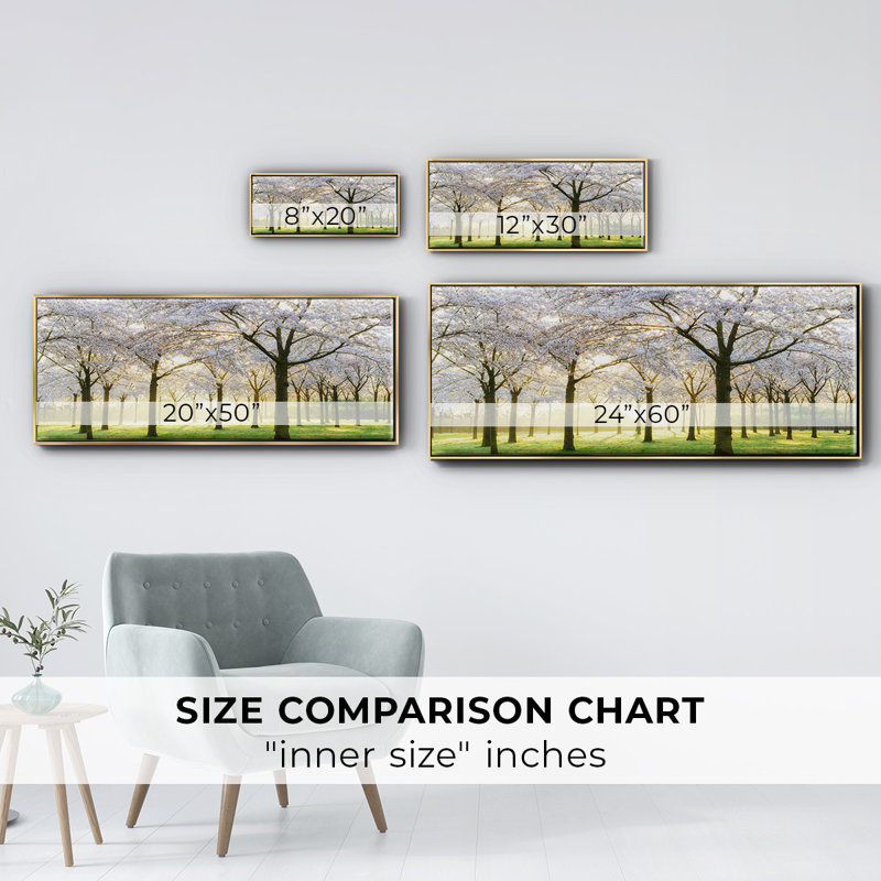 Bridal Trees- Framed Canvas, 24" H x 60" W