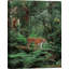 Tiger In The Jungle - No Frame Print on Canvas-280316101