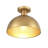 Darrah 1-Light Ceiling Light in Natural Brass-1811460163