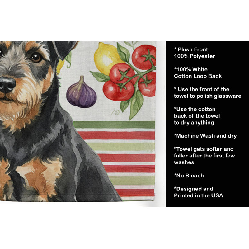 Torchon noir et brun clair Lakeland, Black/Tan Lakeland Terrier