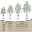 Olive artificielle avec fruit en pot de fleurs blanc, arbre topiaire en pot pour la maison et le bureau, 5/6/7/8 pieds-1400002819