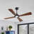 56 In. 4 Solid Wood Blades Indoor Ceiling Fan With Light Kit And Remote Control-1568045677-1568045673