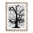 Oak
